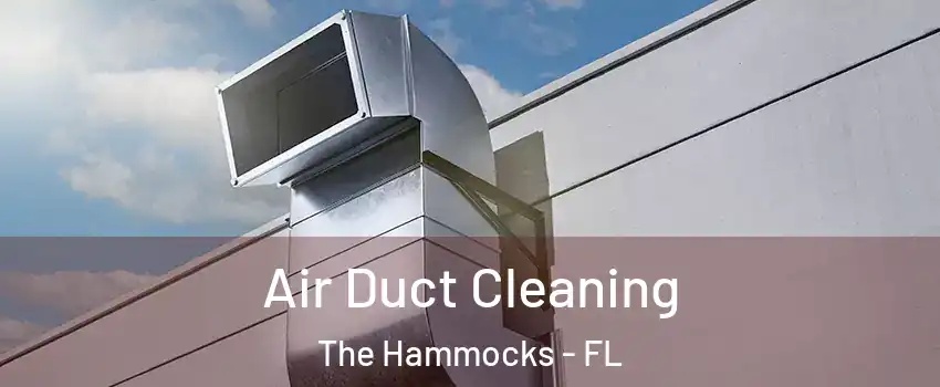  Air Duct Cleaning The Hammocks - FL