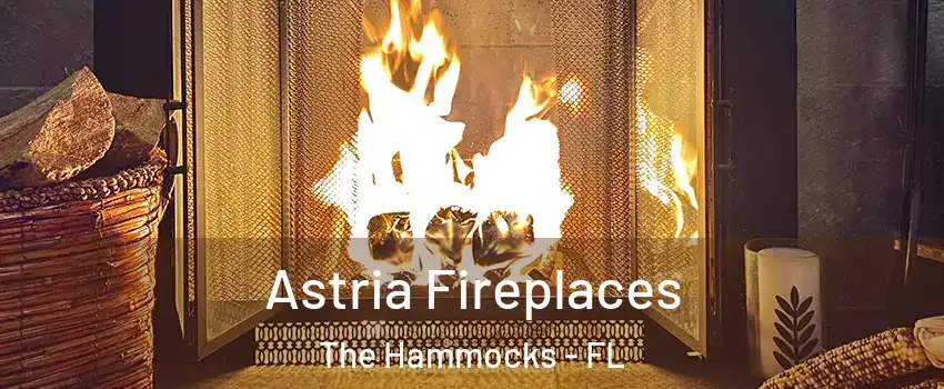  Astria Fireplaces The Hammocks - FL