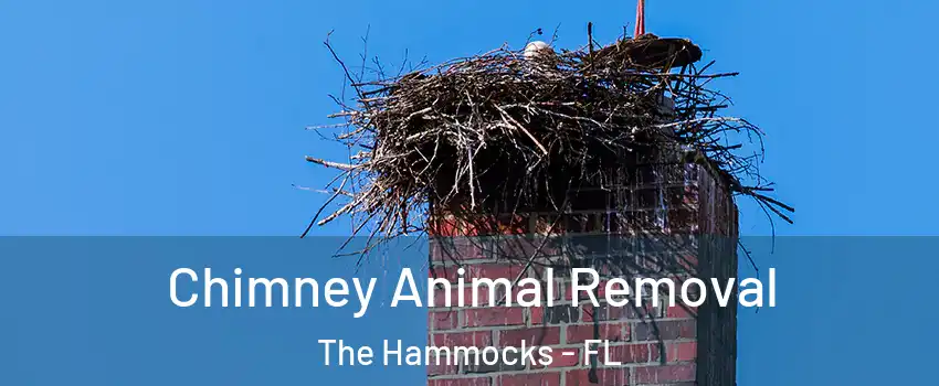 Chimney Animal Removal The Hammocks - FL