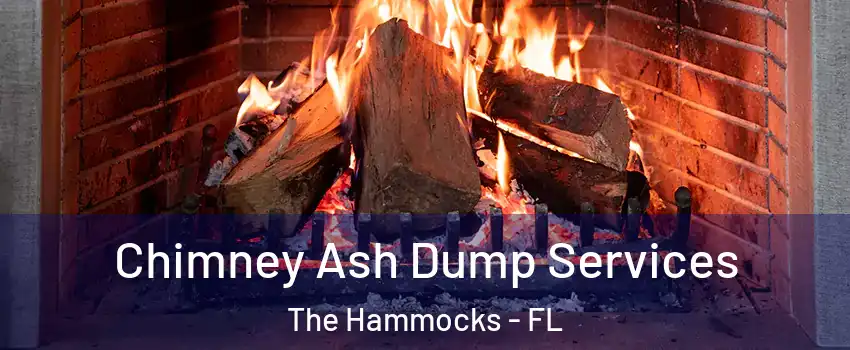  Chimney Ash Dump Services The Hammocks - FL