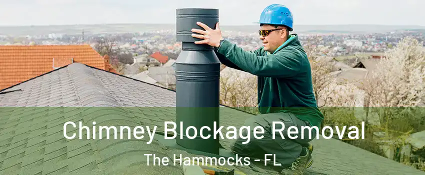  Chimney Blockage Removal The Hammocks - FL