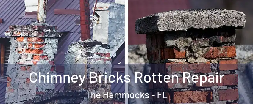  Chimney Bricks Rotten Repair The Hammocks - FL