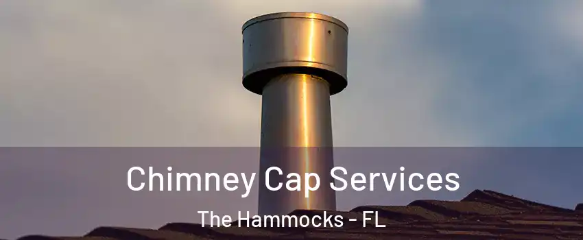  Chimney Cap Services The Hammocks - FL