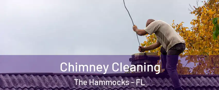  Chimney Cleaning The Hammocks - FL