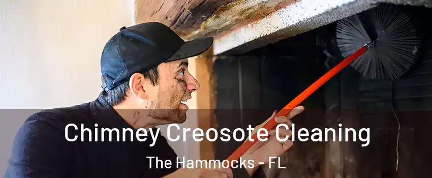  Chimney Creosote Cleaning The Hammocks - FL