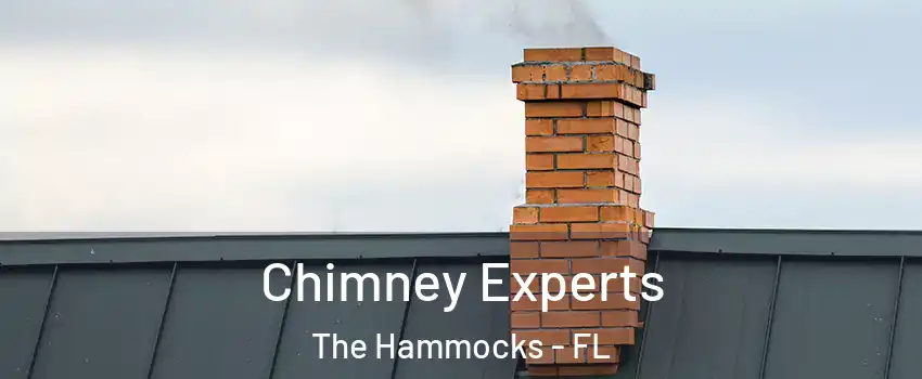 Chimney Experts The Hammocks - FL