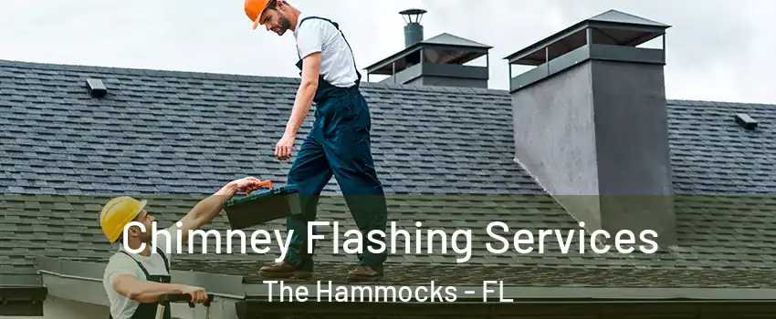 Chimney Flashing Services The Hammocks - FL