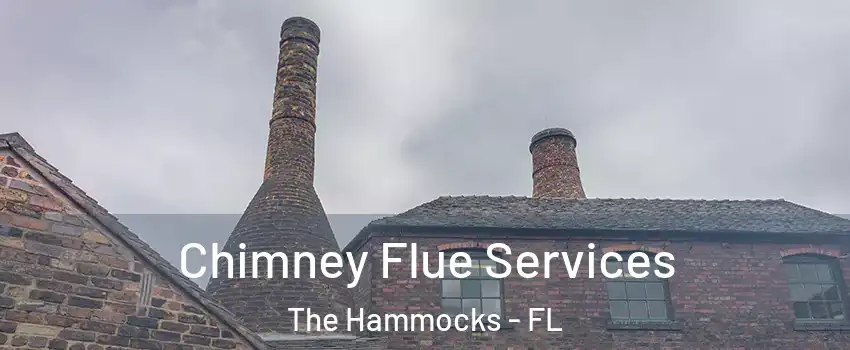  Chimney Flue Services The Hammocks - FL