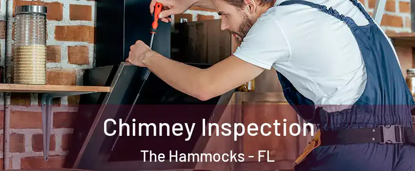  Chimney Inspection The Hammocks - FL