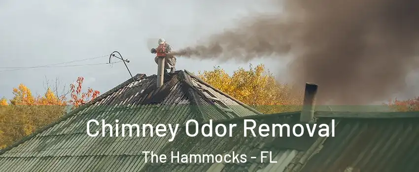 Chimney Odor Removal The Hammocks - FL