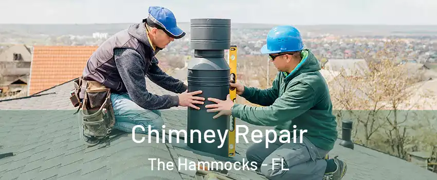  Chimney Repair The Hammocks - FL