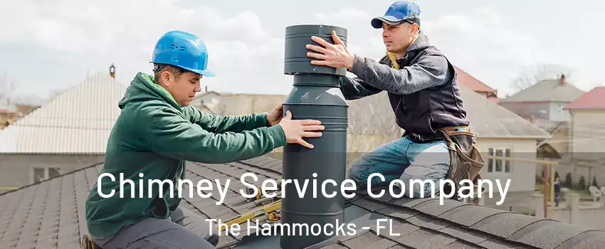  Chimney Service Company The Hammocks - FL