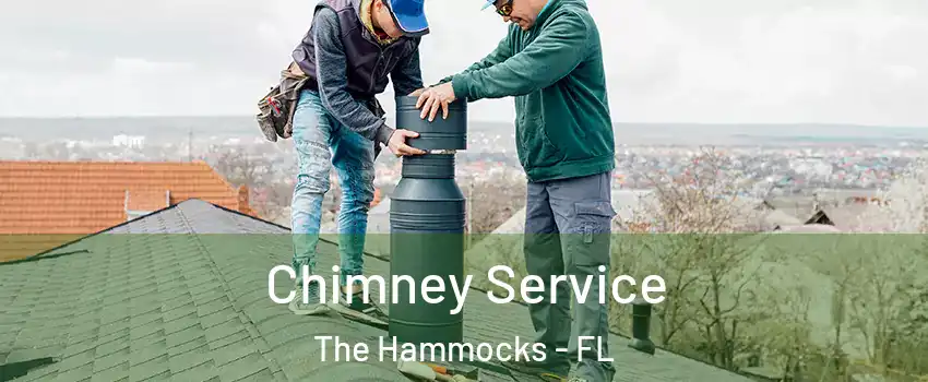  Chimney Service The Hammocks - FL