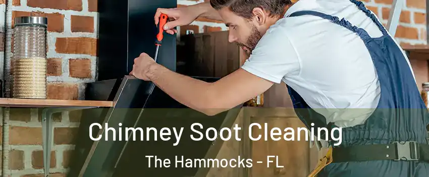  Chimney Soot Cleaning The Hammocks - FL