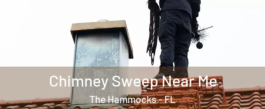  Chimney Sweep Near Me The Hammocks - FL