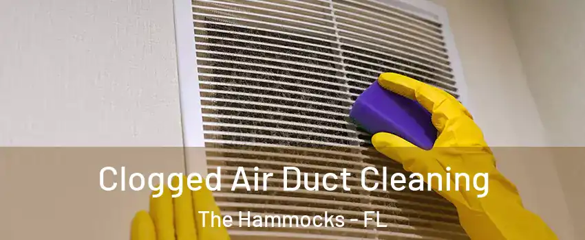  Clogged Air Duct Cleaning The Hammocks - FL