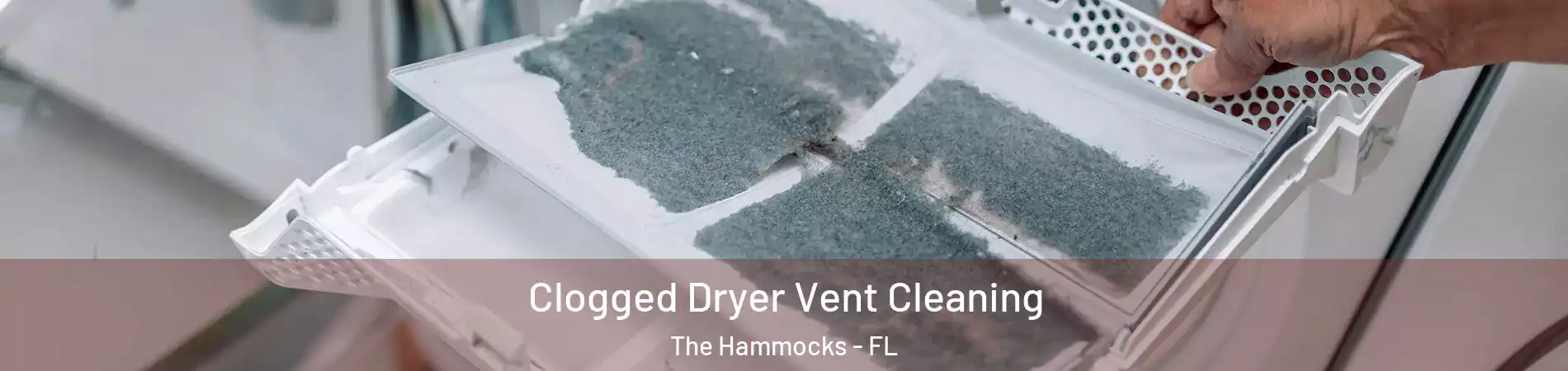  Clogged Dryer Vent Cleaning The Hammocks - FL