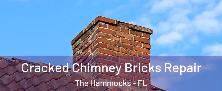  Cracked Chimney Bricks Repair The Hammocks - FL