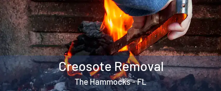  Creosote Removal The Hammocks - FL