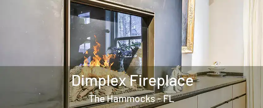  Dimplex Fireplace The Hammocks - FL