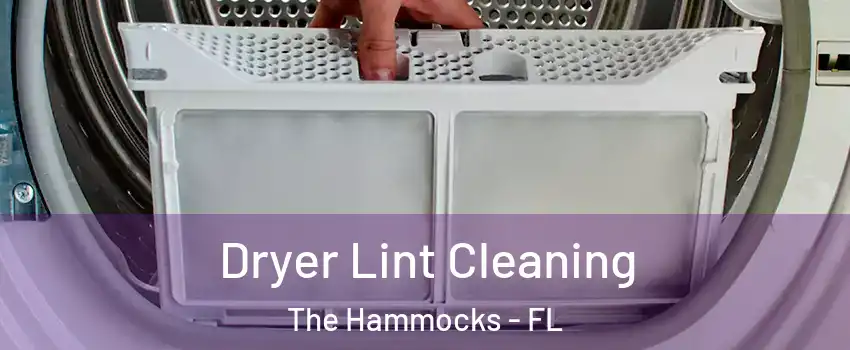  Dryer Lint Cleaning The Hammocks - FL