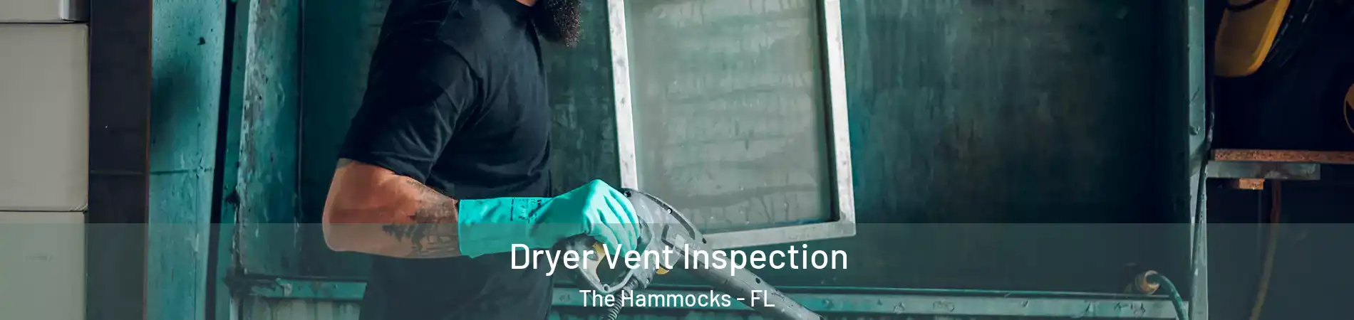  Dryer Vent Inspection The Hammocks - FL