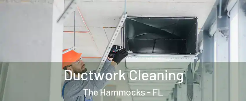  Ductwork Cleaning The Hammocks - FL