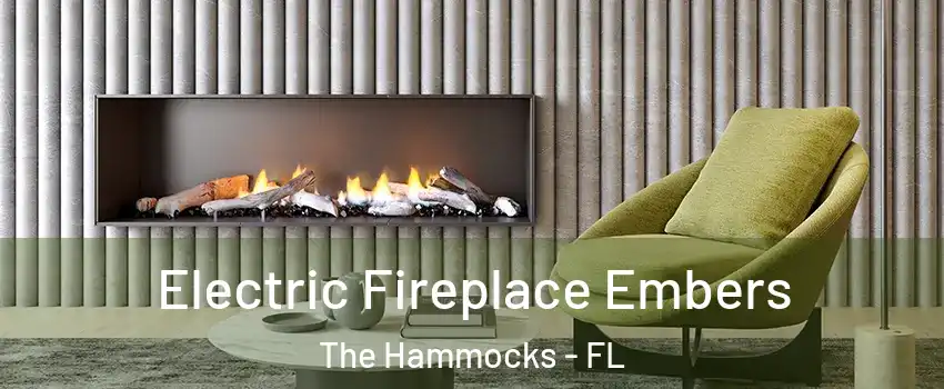  Electric Fireplace Embers The Hammocks - FL