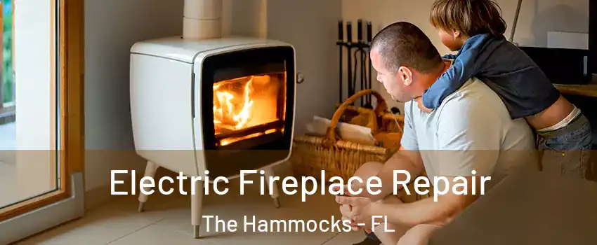  Electric Fireplace Repair The Hammocks - FL