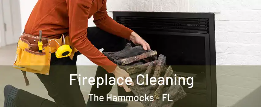  Fireplace Cleaning The Hammocks - FL
