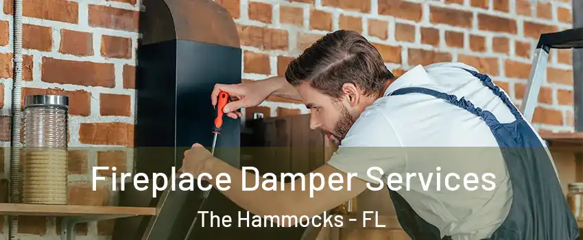  Fireplace Damper Services The Hammocks - FL