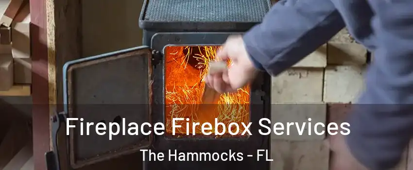  Fireplace Firebox Services The Hammocks - FL