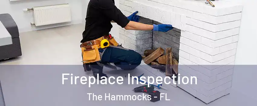  Fireplace Inspection The Hammocks - FL