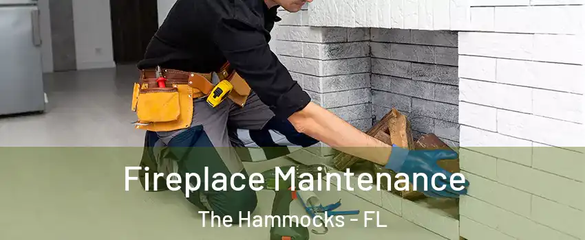  Fireplace Maintenance The Hammocks - FL