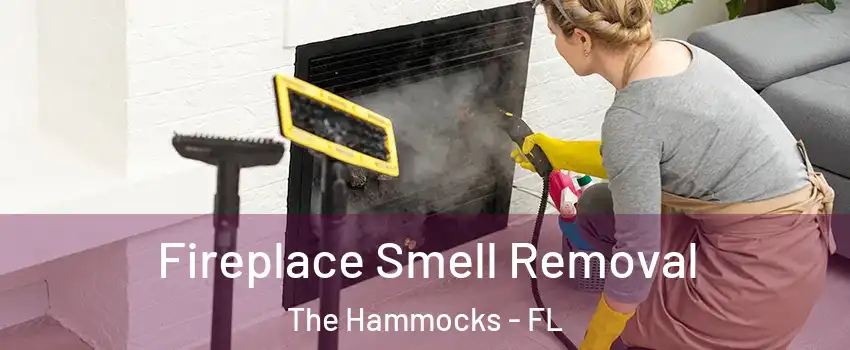  Fireplace Smell Removal The Hammocks - FL