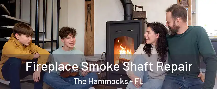  Fireplace Smoke Shaft Repair The Hammocks - FL