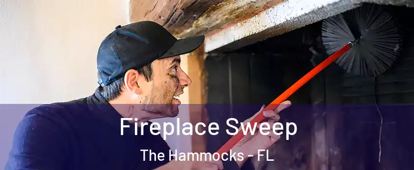  Fireplace Sweep The Hammocks - FL