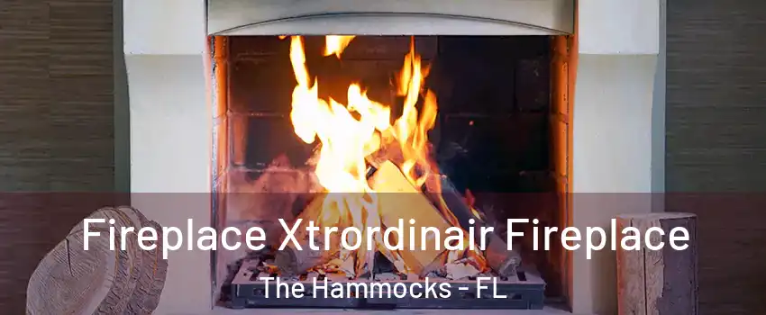  Fireplace Xtrordinair Fireplace The Hammocks - FL