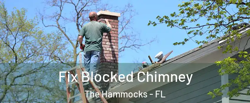  Fix Blocked Chimney The Hammocks - FL
