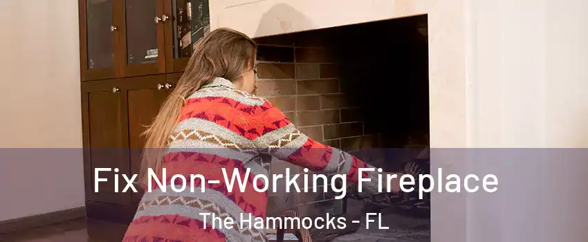  Fix Non-Working Fireplace The Hammocks - FL