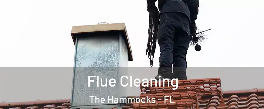 Flue Cleaning The Hammocks - FL