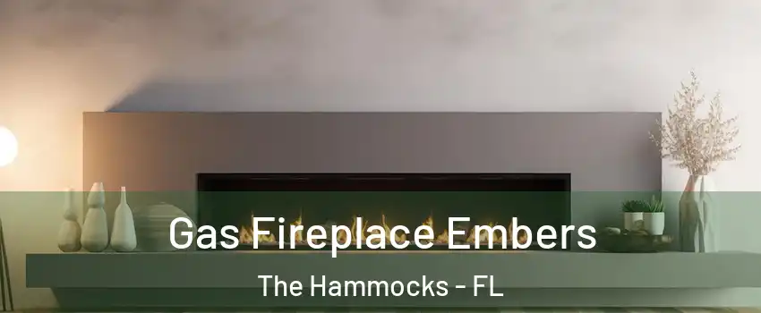  Gas Fireplace Embers The Hammocks - FL