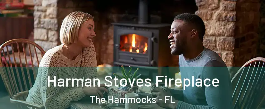  Harman Stoves Fireplace The Hammocks - FL
