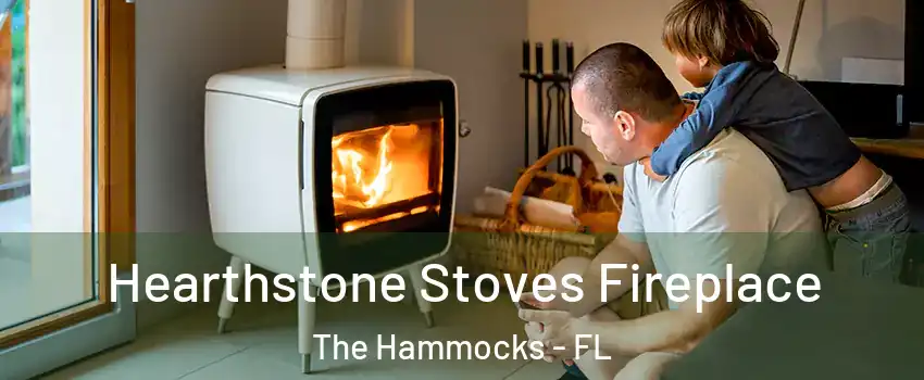 Hearthstone Stoves Fireplace The Hammocks - FL