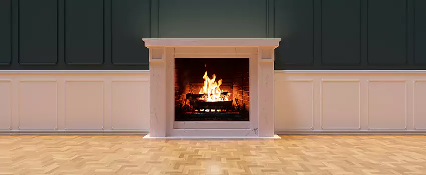 Napoleon Electric Fireplaces Inspection Service in The Hammocks, Florida