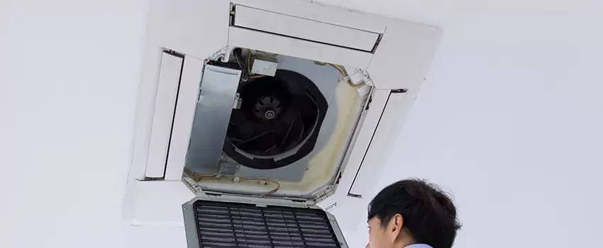 Benefits of Professional Air Duct Cleaning in The Hammocks, Florida