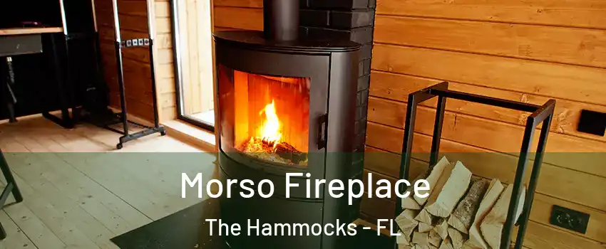  Morso Fireplace The Hammocks - FL