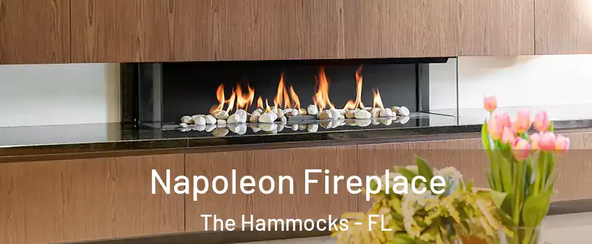  Napoleon Fireplace The Hammocks - FL
