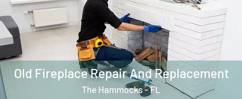  Old Fireplace Repair And Replacement The Hammocks - FL