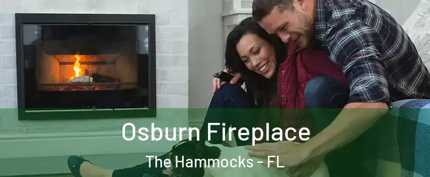  Osburn Fireplace The Hammocks - FL